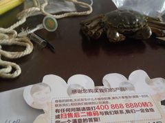 -蟹臻鲜阳澄湖大闸蟹(889广场店)