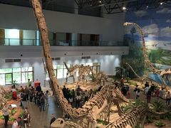 -自贡恐龙博物馆