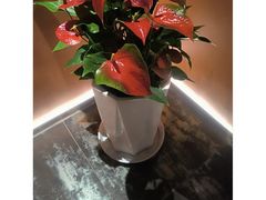 -霖公馆SPA·足道(普善路店)