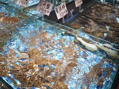 -蚝得喜海鲜(东城店)