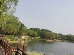 -北坞公园