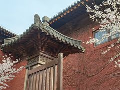 -广富林郊野公园