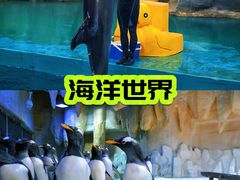 -威海华夏城景区