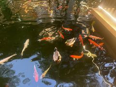 -新世纪大酒楼·30年南海菜