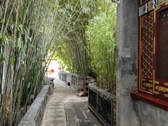 -白家大院·王府宫廷菜(苏州街店)