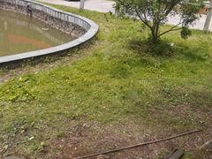 -九龙谷漂流