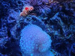 -大连老虎滩海洋公园