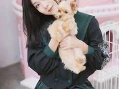 -青奢宠物·青奢猫舍