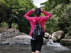 -海南热带雨林国家公园吊罗山景区