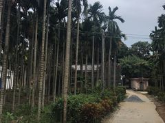 -蔡家宅