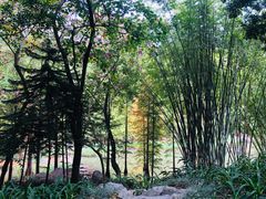-云溪植物园
