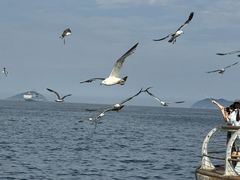 -星海广场