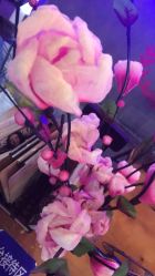 -BM SALON