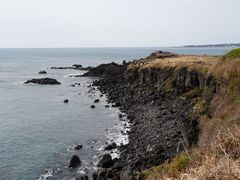 -涉地可支