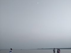 -洋山深水港