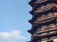 -洋湖国家湿地公园
