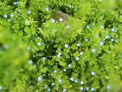 -鑫皇朝酒店(建设一路店)