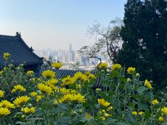 -千佛山风景名胜区