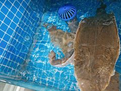 -宾朋海鲜饭庄(兴海路店)