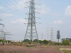 -王借岗森林公园