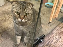 -小时光咖啡馆(开森度假森林店)
