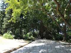 -青青世界