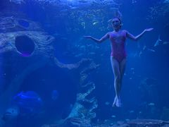 -多彩贵州城极地海洋世界