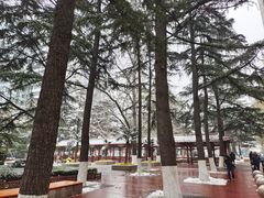 -中国人民解放军总医院