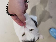 -藏猫猫咖啡主题馆(中央大道店)