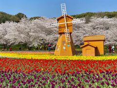 -苏州上方山国家森林公园