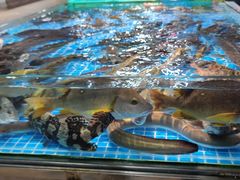 -都斛海鲜街