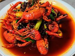 -唐哥冷淡杯(电子路店)