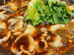 -都江堰石锅鱼