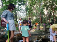 -成都市活水公园