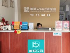 -美联众合动物医院·伴可分院·内科中心医院