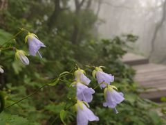 -白草畔自然风景区