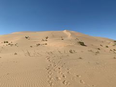 -亿利库布其七星湖沙漠生态旅游区