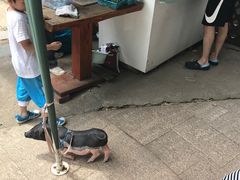 -上海佘山世茂艾美酒店
