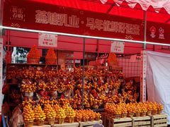 -越秀西湖花市(广州城市广场花卉店)
