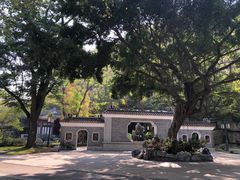 -顺峰山公园