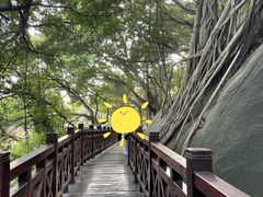 -乌山风景区
