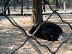 -长白岛森林公园