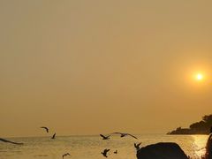 -深圳湾公园(南山区)