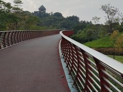 -王借岗森林公园