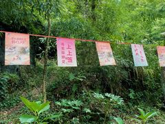 -黄山翡翠谷景区