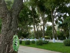 -人民防洪胜利纪念塔