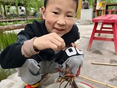 -同銮特种养殖场·龙虾垂钓