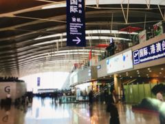-上海浦东国际机场-T2航站楼