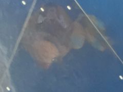-青岛东方影都融创水世界