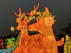 -黄龙溪欢乐田园